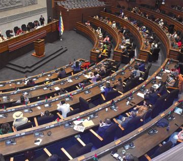 La “ley corta” no tiene consenso ni en el MAS