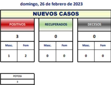 Reporte departamental del Sedes Potosí