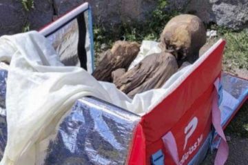 Peruano que tenía momia prehispánica en su casa y fue detectada por la Policía