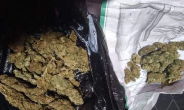 Capturan a dos personas con yerba alucinógena en Tupiza