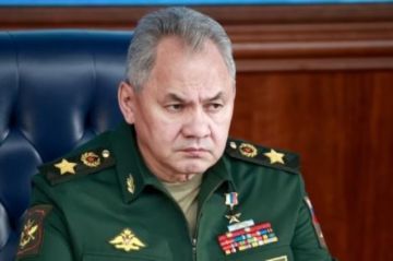 Ministro de Defensa ruso visita el frente en Ucrania, en plena batalla de Bajmut