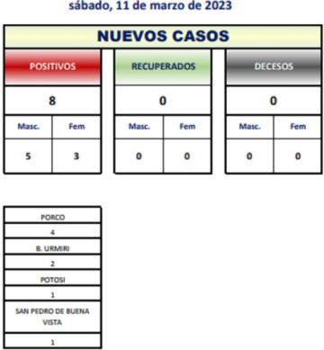 Reporte departamental del Sedes Potosí