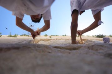 Retiran miles de plegarias del Muro de los Lamentos, en limpieza pre Pésaj