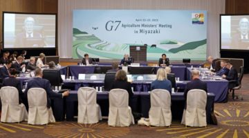 El G7 aboga por más formación e inclusión en el mercado laboral y por una agricultura sostenible