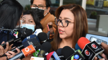 Viceministra Alcón dice que la entrega de autos robados son casos aislados, pero están pidiendo informes