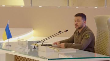 Zelenski exige "independencia" sobre la invasión rusa de Ucrania en cumbre de Liga Árabe