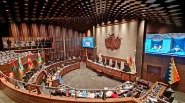 Judiciales: Sancionan ley transitoria pero todo depende del fallo del TCP