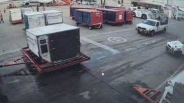 Caso "narcovuelo": Rechazan viaje de diputados a España para evitar conflicto internacional 