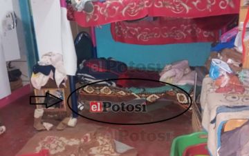 Sexto feminicidio: hombre estranguló a su pareja por ataque de celos en Villazón