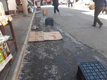 Foto en la plaza Sucre, al mediodía.