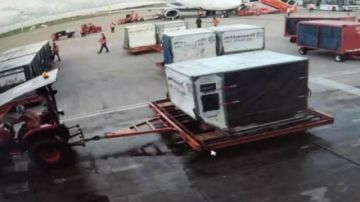 Determinan detención preventiva para funcionaria de seguridad aeroportuaria por el caso narcovuelo