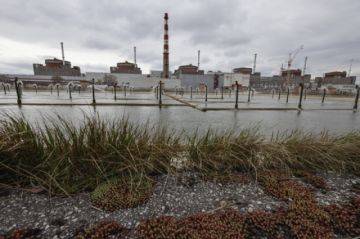 Ucrania inicia ejercicios de simulación ante un posible sabotaje nuclear ruso en la central de Zaporiyia