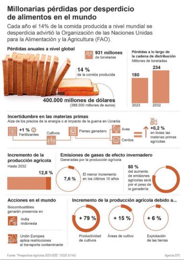 Desperdicio de alimentos causa pérdidas millonarias