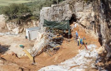 Mantiene “esperanza” de hallar restos de Homo neandertal 
