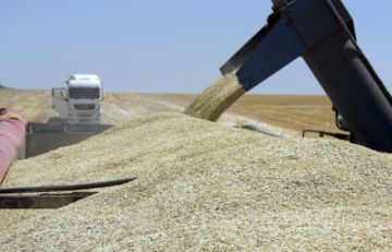 Se confirma que Rusia se retira de forma “inmediata” de la iniciativa para exportar grano de Ucrania a través del Mar Negro