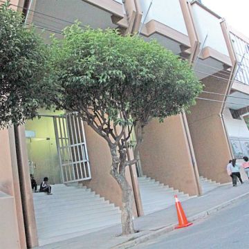 Judiciales: MAS presiona  al TCP para dictar su fallo