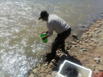 Denuncian daño a la agricultura por agua infectada por minería