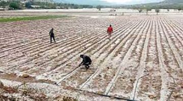 Preparan un plan ante posible llegada del fenómeno “El Niño”