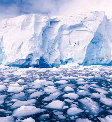 Antártida pierde pedazo del tamaño de Argentina