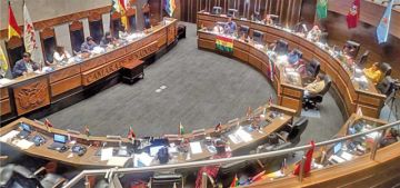Elecciones: Salame y MAS piden tratar proyecto de ley y fracasan