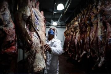 El secretario de Agricultura de Argentina niega un cierre de exportación de carnes