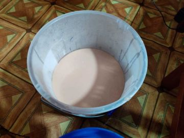 Garantizan el consumo de los alimentos del desayuno escolar