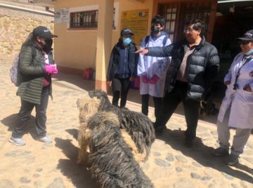 Desde las 7:00 de este sábado, los voluntarios de la facultad se concentraron y ahora están en todos los barrios de la ciudad en la campaña de vacunación contra la rabia.