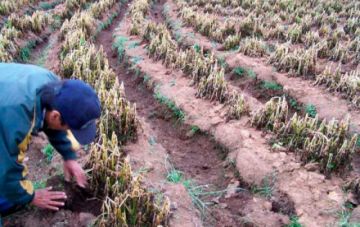 Fiscalía reporta pelea de dos comunidades por un "ojo de agua"