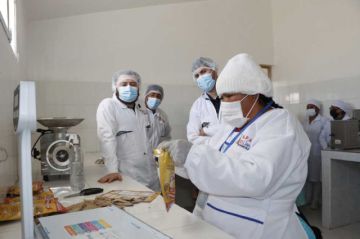 Naciones Unidas apoya la producción de camélidos