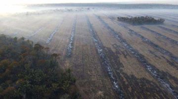 La deforestación en Bolivia creció en 32 por ciento entre 2021 y 2022
