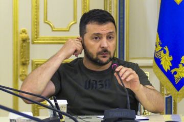 Zelenski celebra el apoyo a su plan de paz para Ucrania, que “se está volviendo global”