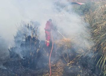 Bomberos controlan incendio forestal