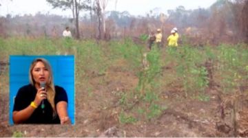 Destituyen a la funcionaria que denunció plantaciones ilegales de coca dentro del Parque Amboró