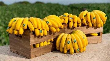 La alcaldía consolida la entrega de fruta en el desayuno escolar 2023