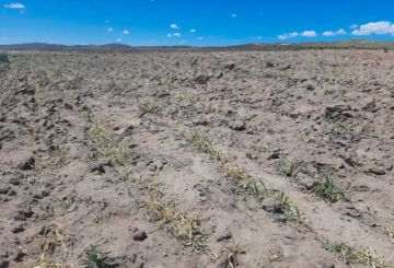 Las lluvias no llegan y temen que no haya alimentos para la gente