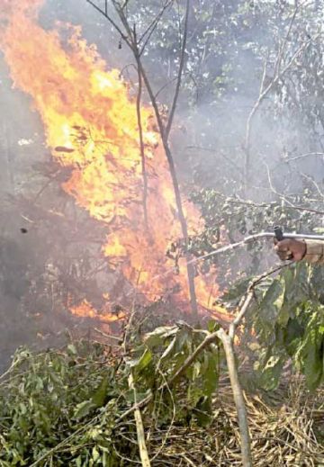 Desde el Madidi suplican ayuda para apagar fuego