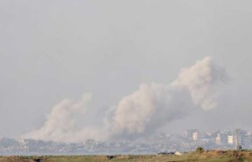 Mitad de la Franja de Gaza está muriendo de hambre