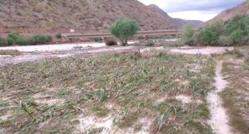 Reportan 17 municipios potosinos afectados por fenómenos naturales