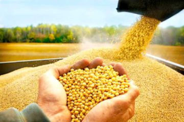 Bolivia exportó $us 1.860 millones en alimentos hasta octubre de esta gestión