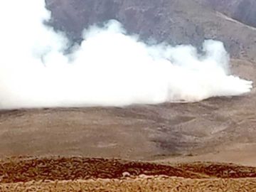 Incendio forestal mata a animales silvestres