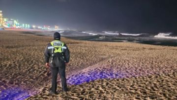 Japón activa la alerta de tsunami en su costa occidental tras terremoto de 7,4 grados