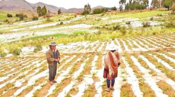 Granizadas ya afectaron más de 200 hectáreas de cultivos en el Departamento
