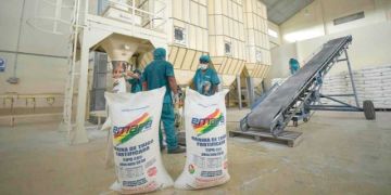 Gobierno mantendrá subvención para que no suban los alimentos