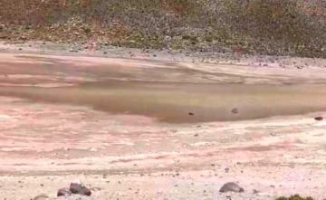 Potosí se encamina a una dura sequía por falta de lluvias