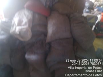 Jefatura municipal de Medio Ambiente interviene comercializadora clandestina en San Cristóbal