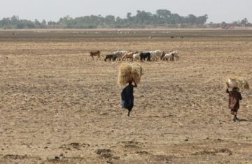 Reportan que hay al menos 60 muertos en el derrumbe de una mina de oro en Mali