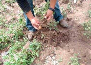 Pobladores de Porco piden apoyo ante falta de lluvias
