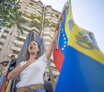 OEA: Exclusión de Machado “liquida” elecciones limpias