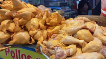 Reportan incremento del precio de carne de pollo por los bloqueos
