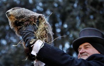 La famosa marmota estadounidense Phil pronostica una primavera temprana